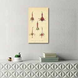 «Fuchsia Cordifolia, Seedling Fuchsias» в интерьере зеленой спальни «Fuchsia Cordifolia, Seedling Fuchsias» в интерьере зеленой спальни