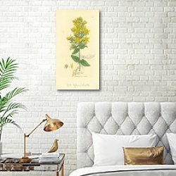 «Sowerby Ботаника №2» в интерьере спальни с золотыми деталями