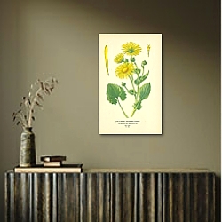 «Caucasian Leopard's-bane (Doronicum Caucasicum) 1» в интерьере кабинета в черном цвете «Caucasian Leopard's-bane (Doronicum Caucasicum) 1» в интерьере кабинета в черном цвете