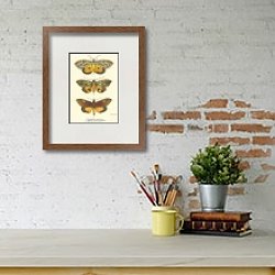 «Argadesa materna, Othreis smaragdipicta, Graphigona regina» в интерьере красной спальни «Argadesa materna, Othreis smaragdipicta, Graphigona regina» в интерьере красной спальни