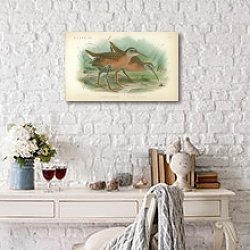 «Rallus Equatorialis, Rallus virginianus 1» в интерьере офиса с кирпичными стенами «Rallus Equatorialis, Rallus virginianus 1» в интерьере офиса с кирпичными стенами
