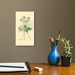 «Sowerby Ботаника №13» в интерьере кабинета с бежевыми стенами