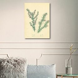 «Muraltia Stipulacea, Muraltia Heisteria» в интерьере кабинета с бежевыми стенами «Muraltia Stipulacea, Muraltia Heisteria» в интерьере кабинета с бежевыми стенами
