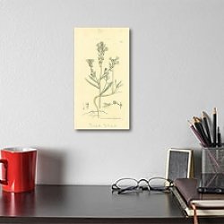 «Sowerby Ботаника №17» в интерьере кабинета над столом