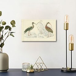 «Papillated Ibis, White Ibis, metallic Ibis 1» в интерьере кабинета с бежевыми стенами «Papillated Ibis, White Ibis, metallic Ibis 1» в интерьере кабинета с бежевыми стенами