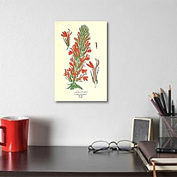 «Cardinal Flower (Lobelia Cardinalis) 1» в интерьере над комодом «Cardinal Flower (Lobelia Cardinalis) 1» в интерьере над комодом