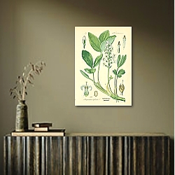 «Gentianaceae, Menyanthes trifoliata 1» в интерьере кабинета в черном цвете «Gentianaceae, Menyanthes trifoliata 1» в интерьере кабинета в черном цвете