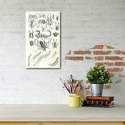 «Entomology - Arachnides, Myriapoda» в интерьере с кирпичной стеной «Entomology - Arachnides, Myriapoda» в интерьере с кирпичной стеной