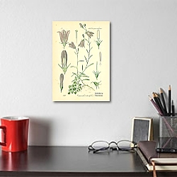 «Campanulaceae, Campanula rotundifolia 1» в интерьере спальни с золотыми деталями «Campanulaceae, Campanula rotundifolia 1» в интерьере спальни с золотыми деталями