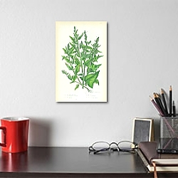 «Fig leaved Goosefoot, Oak Leaved, Red, Mercury 1» в интерьере красной спальни «Fig leaved Goosefoot, Oak Leaved, Red, Mercury 1» в интерьере красной спальни