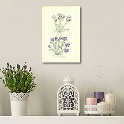 «Gilia Tricolor, Gilia Achilleafolia» в интерьере в стиле лофт над столом «Gilia Tricolor, Gilia Achilleafolia» в интерьере в стиле лофт над столом