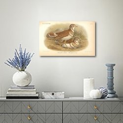 «Rhinoptilus Seebohmi, Rhinoptilus Cinctus 1» в интерьере бирюзовой комнаты «Rhinoptilus Seebohmi, Rhinoptilus Cinctus 1» в интерьере бирюзовой комнаты