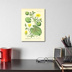 «Gentianaceae, Limnanthemum nymphaeoides 1» в интерьере комнаты с белым резным комодом «Gentianaceae, Limnanthemum nymphaeoides 1» в интерьере комнаты с белым резным комодом