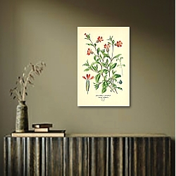 «Drooping Catchfly (Silene Pendula) 1» в интерьере в черно-золотом цвете «Drooping Catchfly (Silene Pendula) 1» в интерьере в черно-золотом цвете