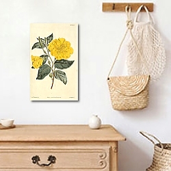 «Cenothera Glauca. Glaucous-Leaved Evening-Primrose 1» в интерьере комнаты с белым резным комодом «Cenothera Glauca. Glaucous-Leaved Evening-Primrose 1» в интерьере комнаты с белым резным комодом