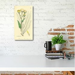 «Sowerby Ботаника №21» в интерьере с кирпичной стеной