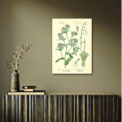 «Campanulaceae, Lobeliaceae, Specularia Speculum, Lobelia Dortmanna 1» в интерьере кабинета в черном цвете «Campanulaceae, Lobeliaceae, Specularia Speculum, Lobelia Dortmanna 1» в интерьере кабинета в черном цвете