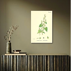 «Polygonum Convolvulus. Climbing Buckwheat 1» в интерьере спальни с золотыми деталями «Polygonum Convolvulus. Climbing Buckwheat 1» в интерьере спальни с золотыми деталями