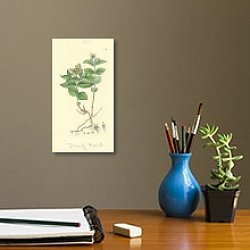 «Sowerby Ботаника №1» в интерьере кабинета с бежевыми стенами
