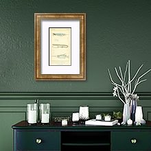 «Eistularia tabacaria, Centrisens scolax, Amphisile scutatus» в интерьере офиса с кирпичными стенами «Eistularia tabacaria, Centrisens scolax, Amphisile scutatus» в интерьере офиса с кирпичными стенами