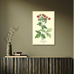 «Silvery Cinquefoil (Potentilla Atrosanguinea) 1» в интерьере комнаты с белым резным комодом «Silvery Cinquefoil (Potentilla Atrosanguinea) 1» в интерьере комнаты с белым резным комодом