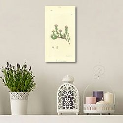 «Sowerby Ботаника №10» в интерьере комнаты с лавандовыми свечами