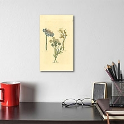 «Scabious, W. Saxifrage, Meadow Saxifrage 1» в интерьере офиса с кирпичными стенами «Scabious, W. Saxifrage, Meadow Saxifrage 1» в интерьере офиса с кирпичными стенами