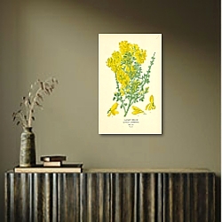 «Canary Broom (Cytisus Canariensis) 2» в интерьере комнаты с белым резным комодом «Canary Broom (Cytisus Canariensis) 2» в интерьере комнаты с белым резным комодом