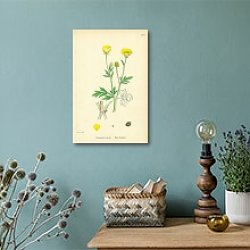 «Ranunculus Hirsutus. Hairy Crowfoot.» в интерьере комнаты с белым столом «Ranunculus Hirsutus. Hairy Crowfoot.» в интерьере комнаты с белым столом