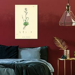 «Arabis Stricta. Bristol Rock-cress.» в интерьере в стиле лофт над столом «Arabis Stricta. Bristol Rock-cress.» в интерьере в стиле лофт над столом
