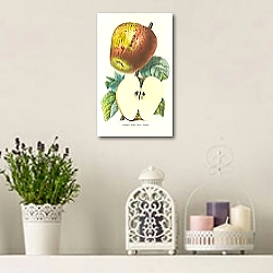 «Pomme Belle-fleur-Dachy» в интерьере комнаты с лавандовыми свечами