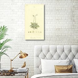 «Sowerby Ботаника №9» в интерьере спальни с золотыми деталями