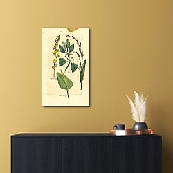 «Agrimony, Black Alder, Oldders Tongue, Arsesmar 1» в интерьере кухни в стиле ретро «Agrimony, Black Alder, Oldders Tongue, Arsesmar 1» в интерьере кухни в стиле ретро