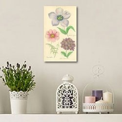 «Verbena Arranana, etc.» в интерьере комнаты с лавандовыми свечами