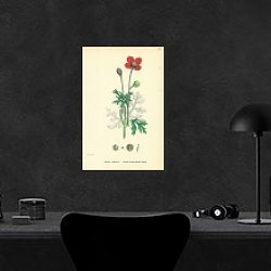 «Papaver Hybridum. Round-prickly-headed Poppy.» в интерьере красной спальни «Papaver Hybridum. Round-prickly-headed Poppy.» в интерьере красной спальни