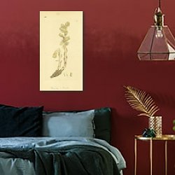«Sowerby Ботаника №6» в интерьере красной спальни