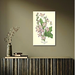 «Chimney Bell-flower (Campanula Pyramidalis) 1» в интерьере зеленой спальни «Chimney Bell-flower (Campanula Pyramidalis) 1» в интерьере зеленой спальни