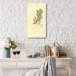 «Sowerby Ботаника №5» в интерьере комнаты с белым столом