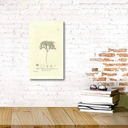«Radiola milligrana. Thyme-leaved Flax-seed» в интерьере комнаты со старинной лампой «Radiola milligrana. Thyme-leaved Flax-seed» в интерьере комнаты со старинной лампой