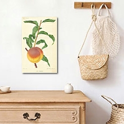 «Peche Coulombier» в интерьере прихожей с деревянным декором