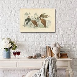 «King of Vulture, Sociable Vulture, Bearded Vulture Orlammergeyer, Griffon Vulture,Condor 1» в интерьере с деревянными деталями «King of Vulture, Sociable Vulture, Bearded Vulture Orlammergeyer, Griffon Vulture,Condor 1» в интерьере с деревянными деталями