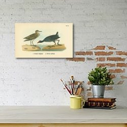 «Pectoral Sandpiper, Florida Gallinule» в интерьере зеленой спальни «Pectoral Sandpiper, Florida Gallinule» в интерьере зеленой спальни