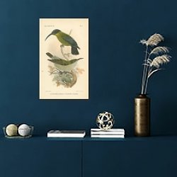 «Aranchnothera poliopteca, Aranchnothera iliophus 1» в интерьере офиса с кирпичными стенами «Aranchnothera poliopteca, Aranchnothera iliophus 1» в интерьере офиса с кирпичными стенами