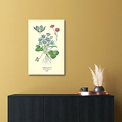 «Common Hepatica (Anemone Hepatica) 1» в интерьере офиса в белом цвете «Common Hepatica (Anemone Hepatica) 1» в интерьере офиса в белом цвете