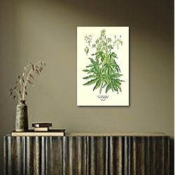 «Japanese Aralia (Fatsia Japonica) 1» в интерьере синей комнаты «Japanese Aralia (Fatsia Japonica) 1» в интерьере синей комнаты