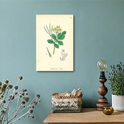 «Chelidonium majus. Celandine.» в интерьере комнаты со старинной лампой