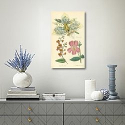«Stanhopea Oculata, Chorizema Cordata» в интерьере кабинета в черном цвете «Stanhopea Oculata, Chorizema Cordata» в интерьере кабинета в черном цвете