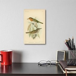 «Euscarthmus Russatus. Euscarthmus impiger 1» в интерьере кабинета в черном цвете «Euscarthmus Russatus. Euscarthmus impiger 1» в интерьере кабинета в черном цвете