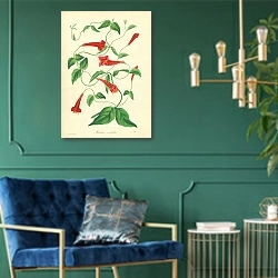 «Manettia Cordefolia» в интерьере изумрудной комнаты