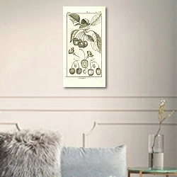 «Guignes» в интерьере комнаты с белыми стенами